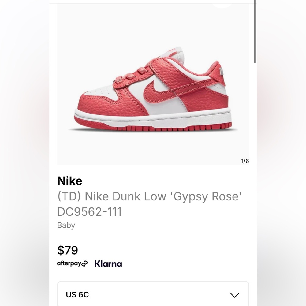 Nike “Gypsy Rose” Dunks TD - SOLD‼️